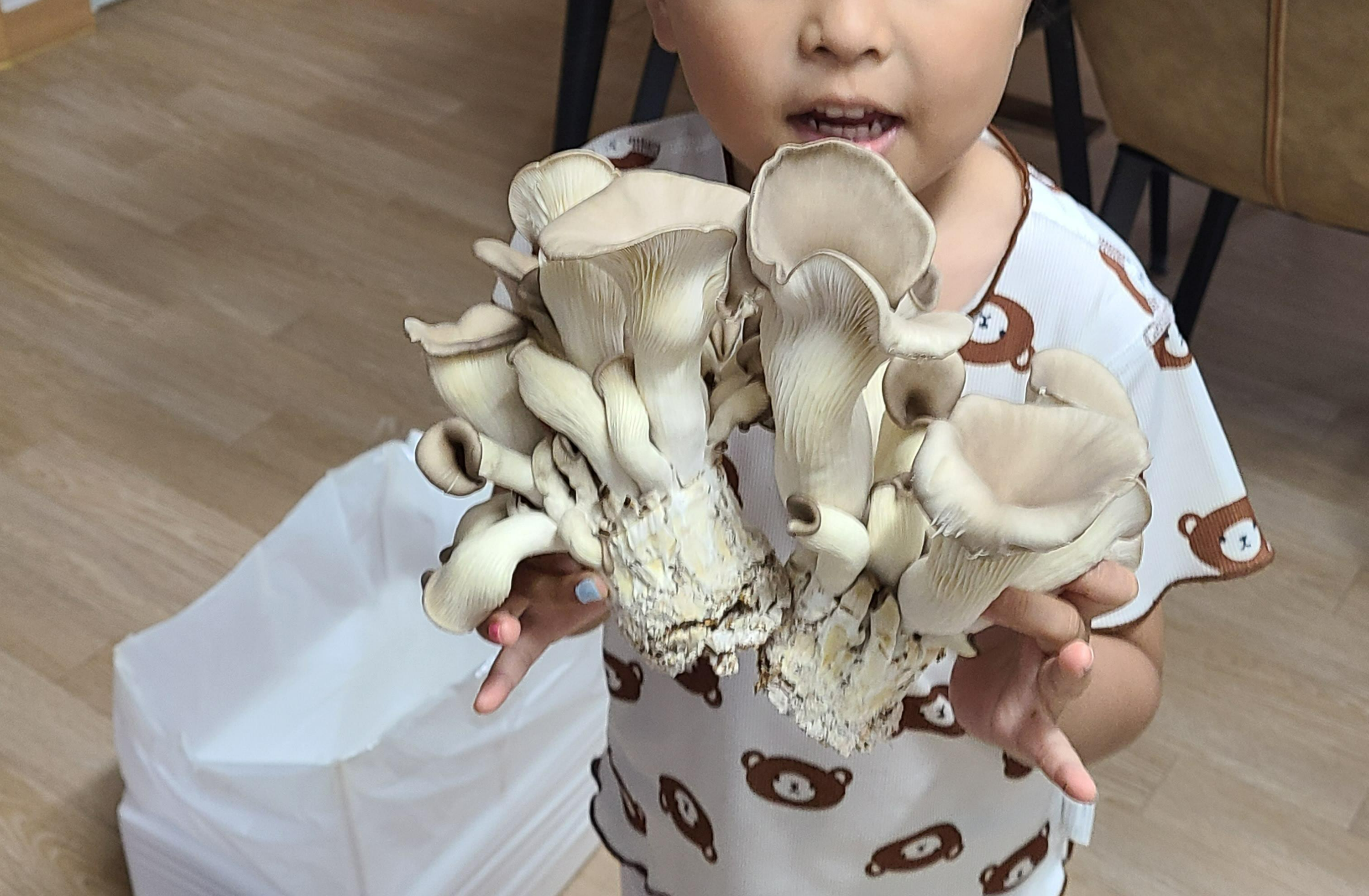 집에서 직접 키워 풍성하게 자란 느타리버섯을 들고 즐거워하는 아이