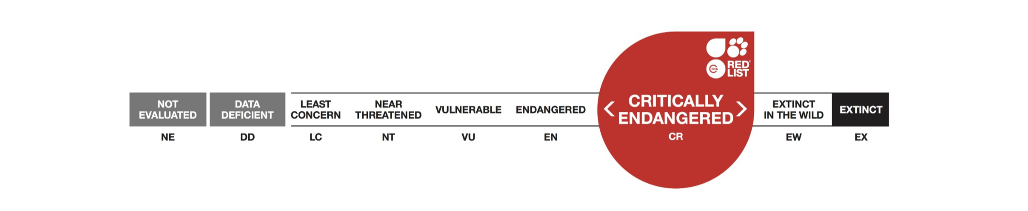 북쪽털코웜뱃의 적색목록