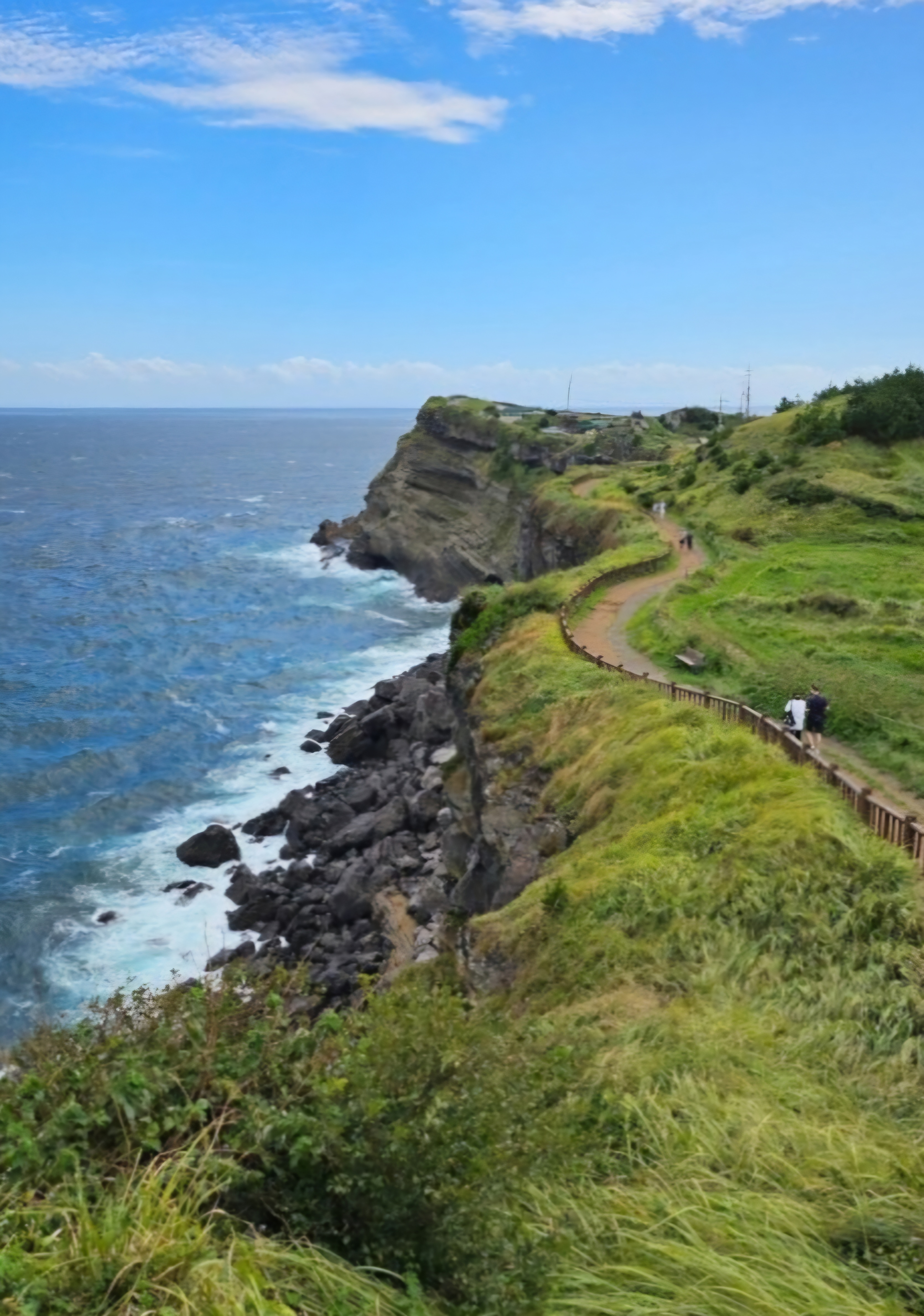 제주 올레길 해변길로 보이는 사진