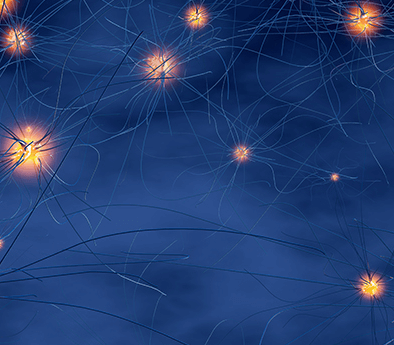 sk바이오팜 주가