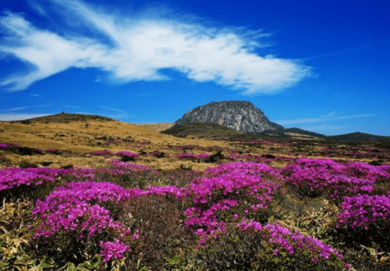제주도에서 즐기는 봄 등산 여행