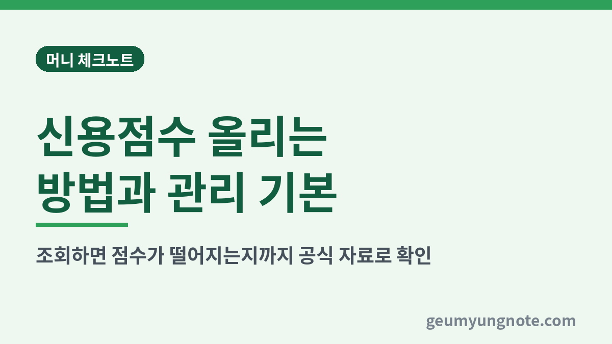 신용점수 올리는 방법과 관리 기본 대표 이미지