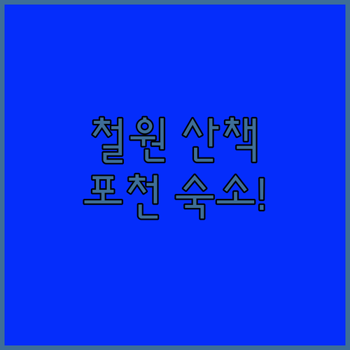 철원실내체육관 강아지 산책 코스 정보..