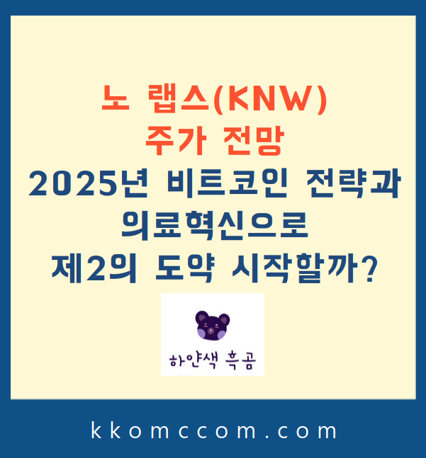 노 랩스 주가 전망 관련 포스팅 썸네일