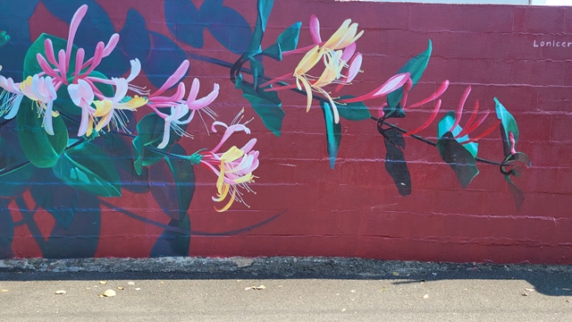 나만-알고-싶은-제주동쪽-감성여행-필수-코스-종달여행-만나빵집-책약방-잼있는집