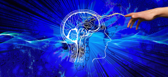 행복 호르몬 긍정적인 사고방식이 뇌에 미치는 영향