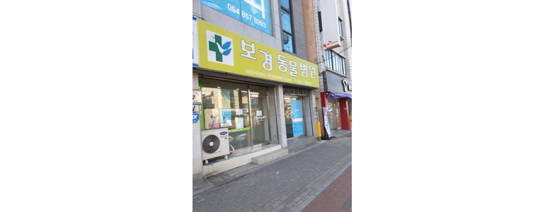 안동시 동물병원