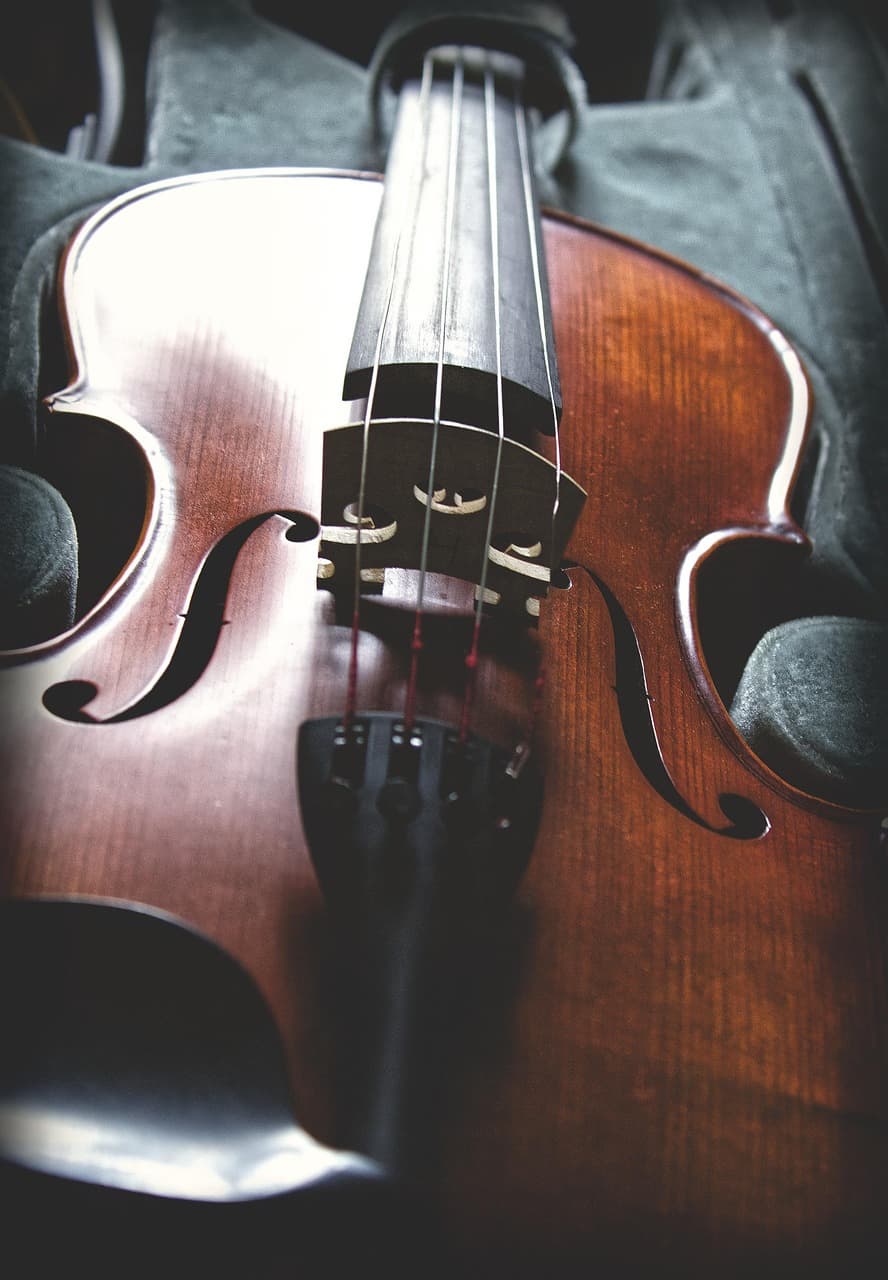 스즈키 바이올린 2권 - 슈만 ‘두 사람의 척탄병’: 한 단계 도약하는 리듬 감각과 활 제어 능력