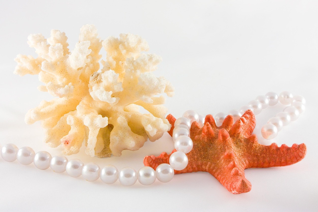 산호의 정체와 생태계 속 역할 총정리