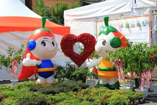 2026 청양 고추구기자축제