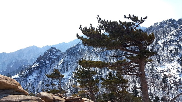 설악산 겨울