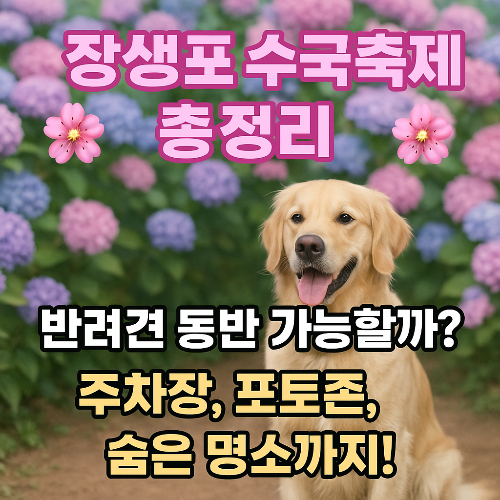 반려견과 수국길 산책? 장생포 수국축제 완전 정복! 주차장부터 숨은 볼거리까지