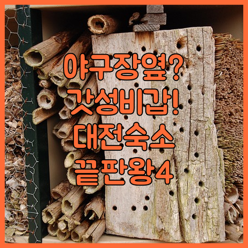 야구장 가깝고 가성비까지 완벽한 대전..