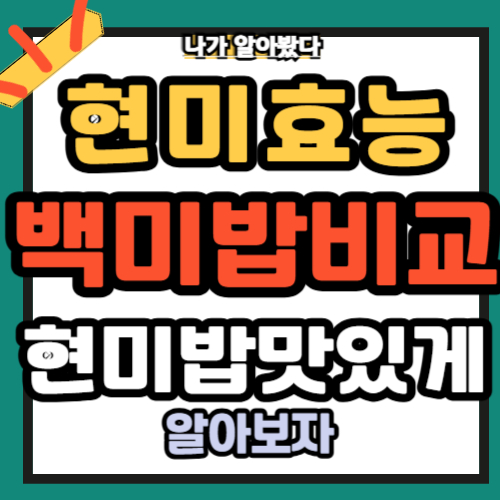 현미 효능 백미밥 비교 현미밥 맛있게하는법