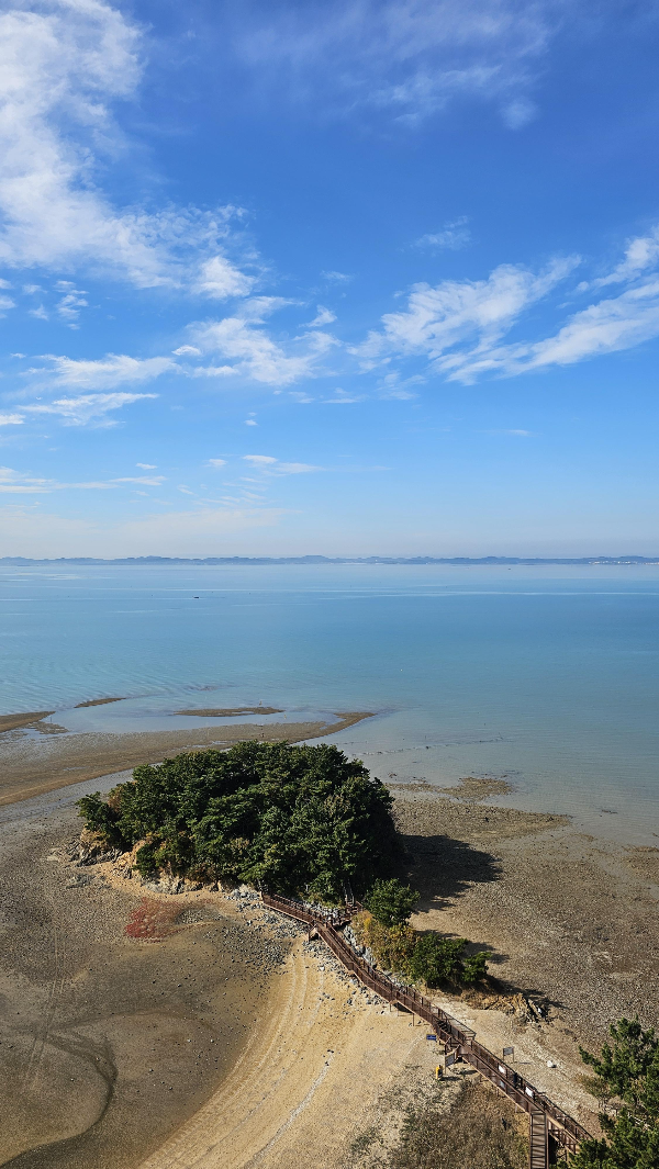 홍성스카이타워 전망