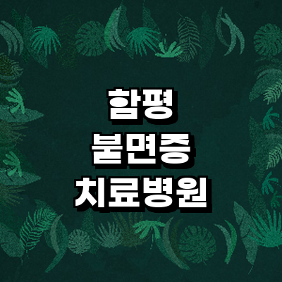함평군 불면증