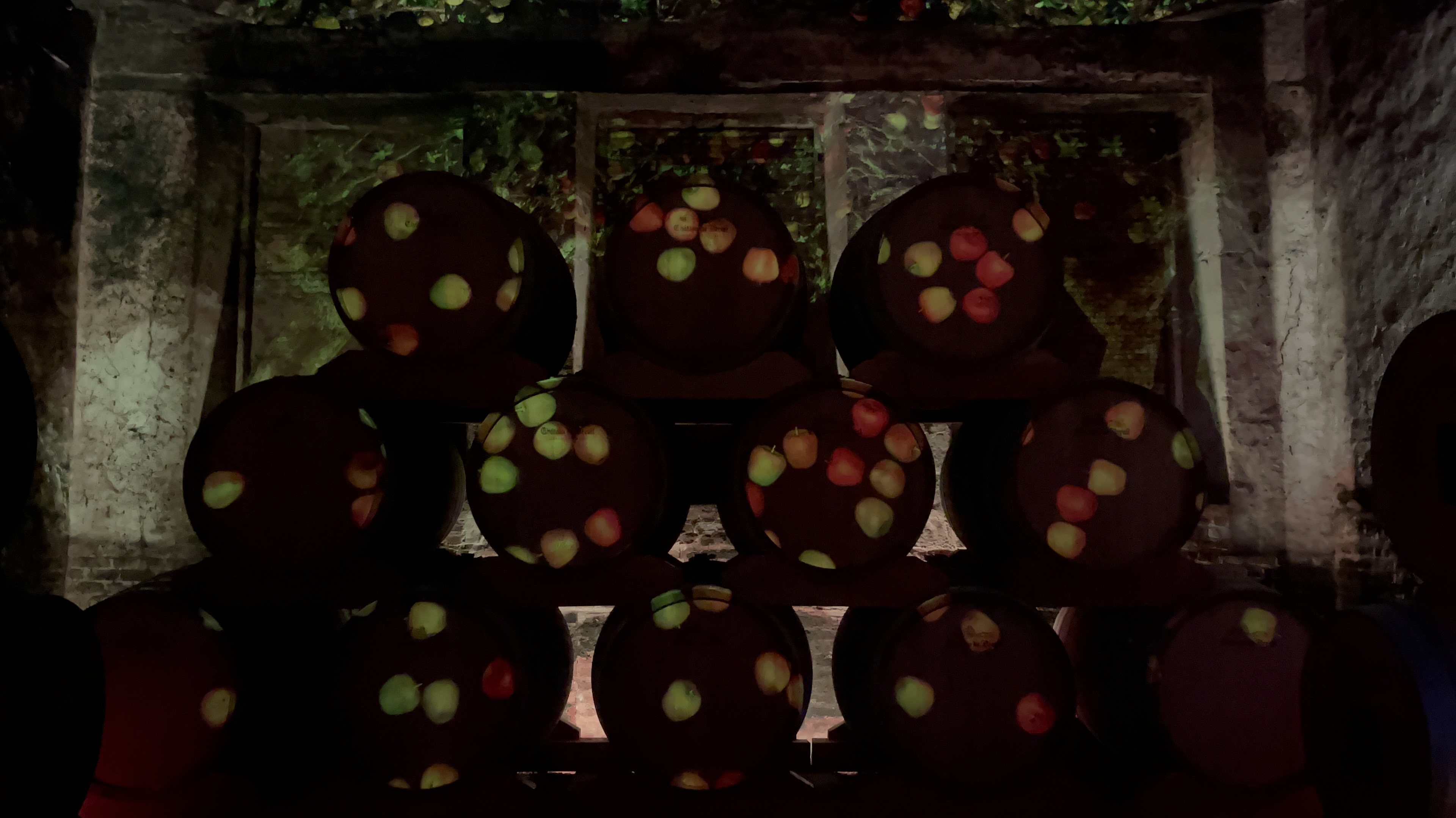 Ch&acirc;teau du Breuil 숙성 창고 영상쇼