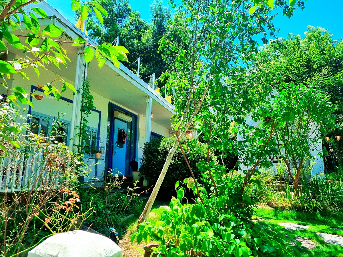 블루리본 브런치 카페 플래닛 1020: 경남 하동 지리산 쌍계사 근처 현지인 추천 맛집