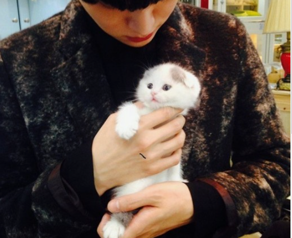 안재현과 그의고양이