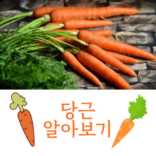 당근