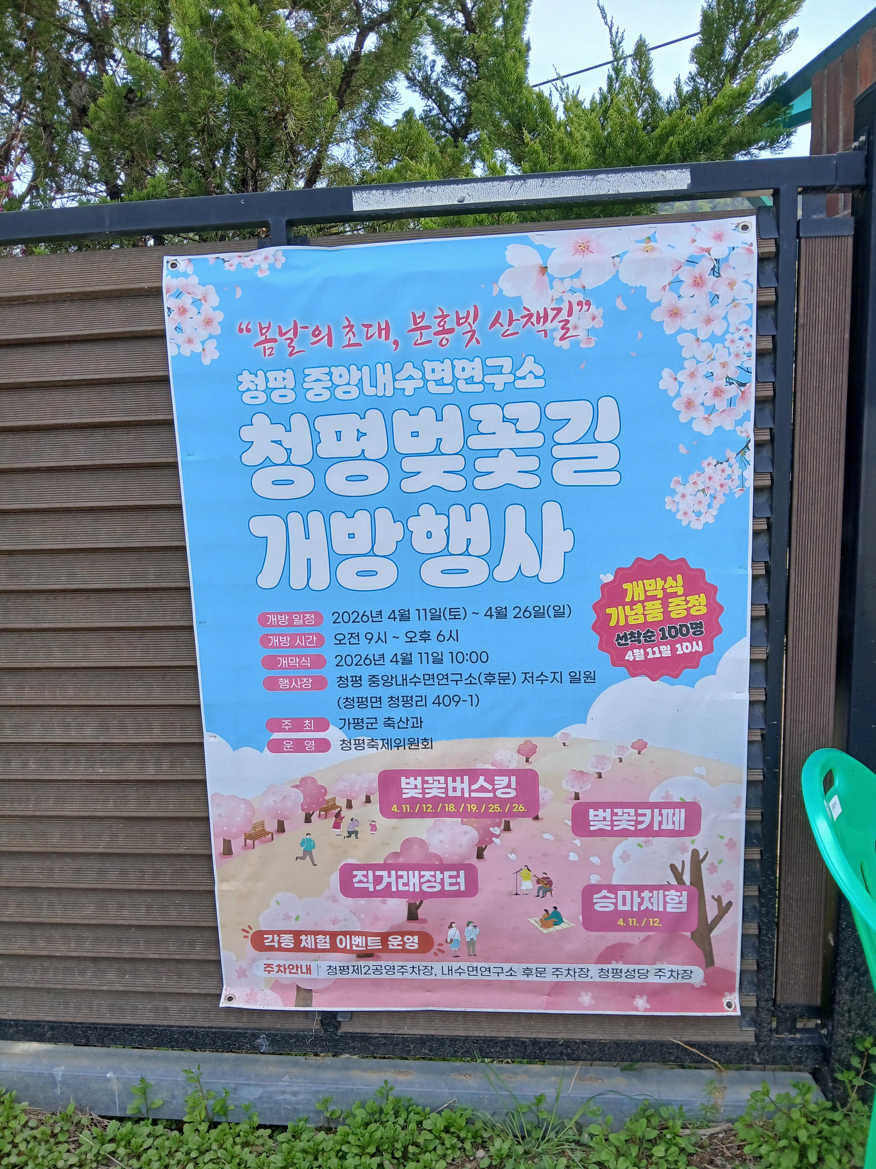 청평 벚꽃길 개방행사 현수막