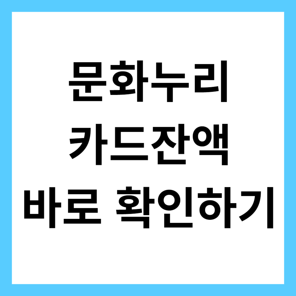 문화누리카드 잔액