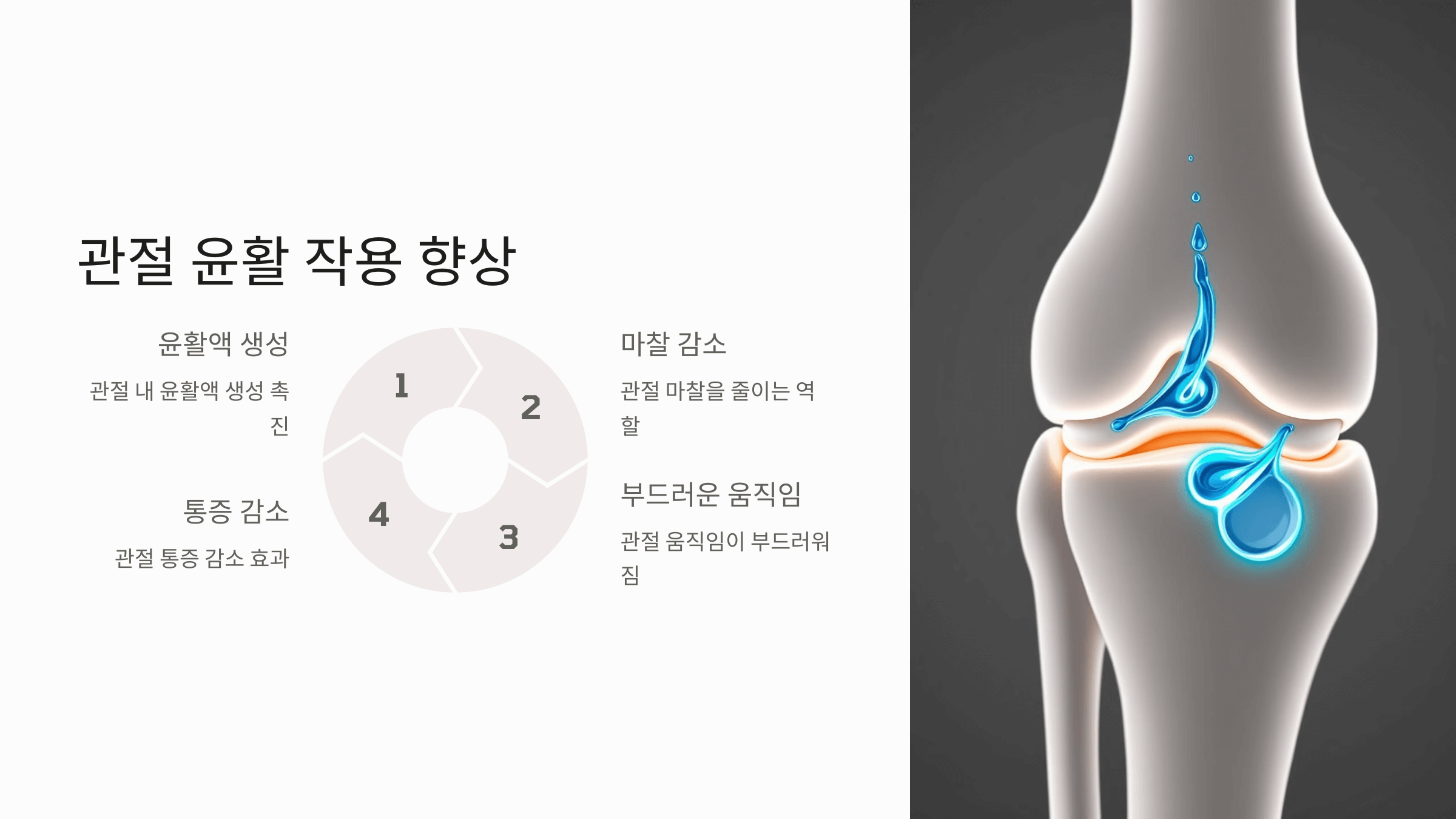 글루코사민과 관련된 사진입니다.