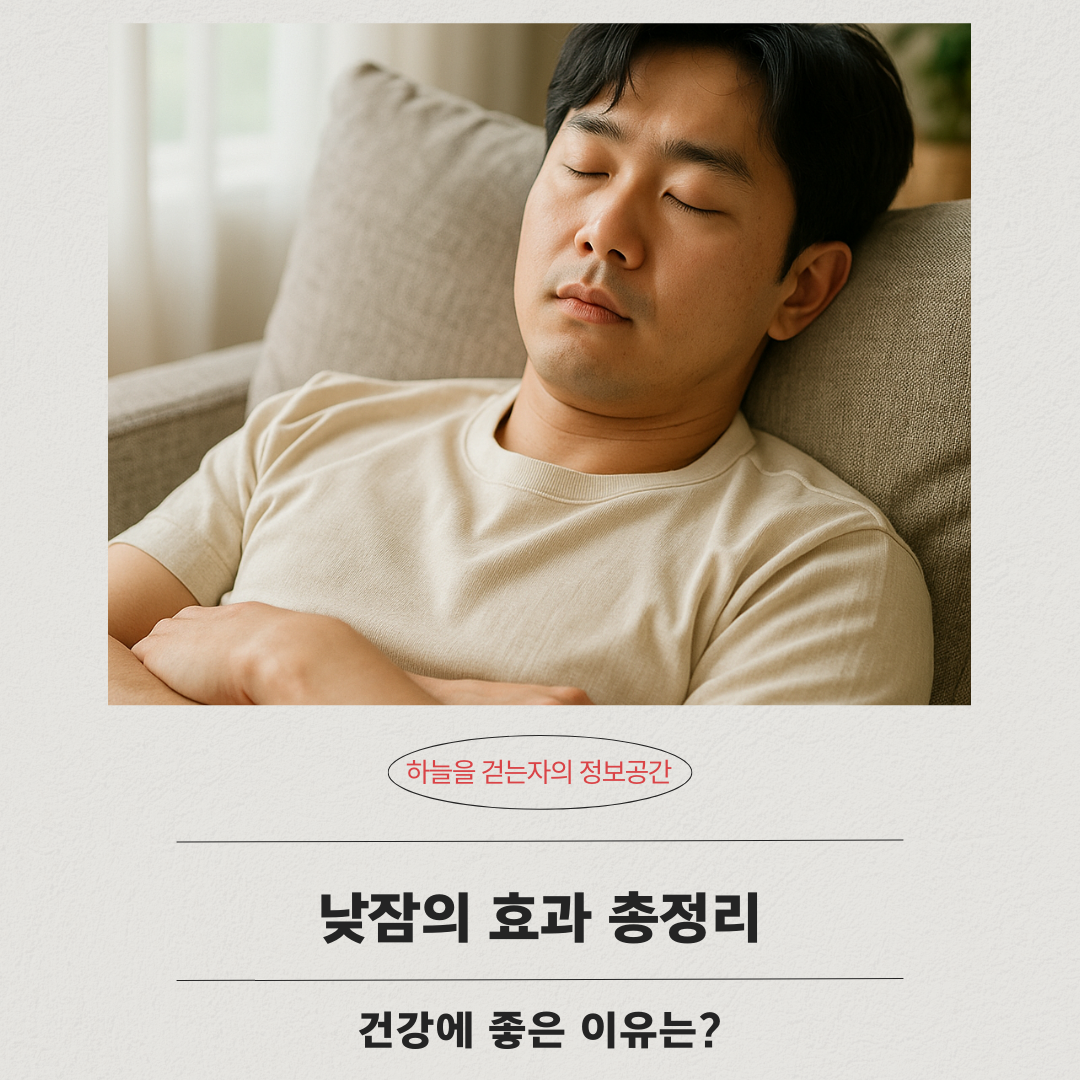 낮잠의 효과 총정리 ❘ 건강에 좋은 이유는?