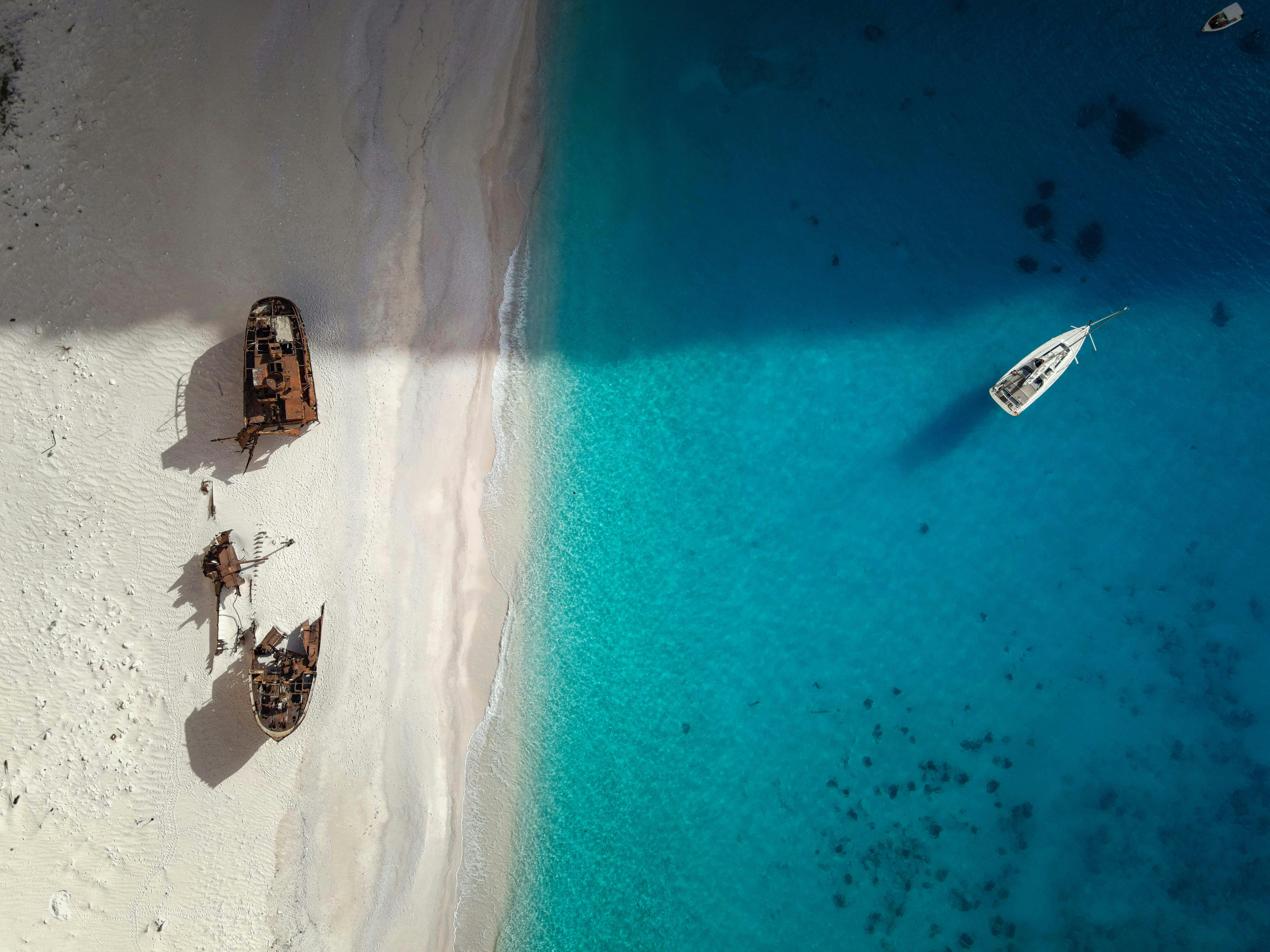 2025년 8월 20일 띠별 운세&amp;#44; 당신의 하루는 어떨까요?_1 쥐띠&amp;#44; 소띠&amp;#44; 호랑이띠&amp;#44; 토끼띠