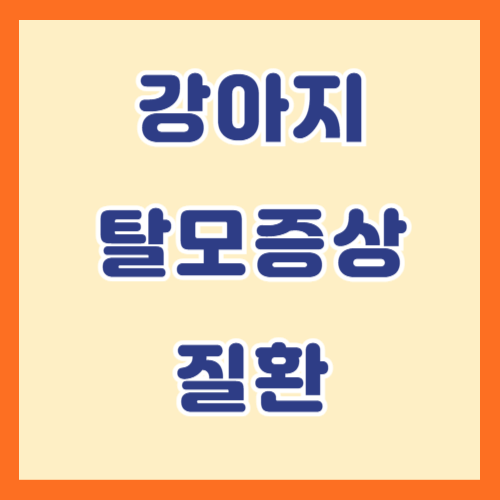 강아지 탈모 증상, 이렇게 구분하세요