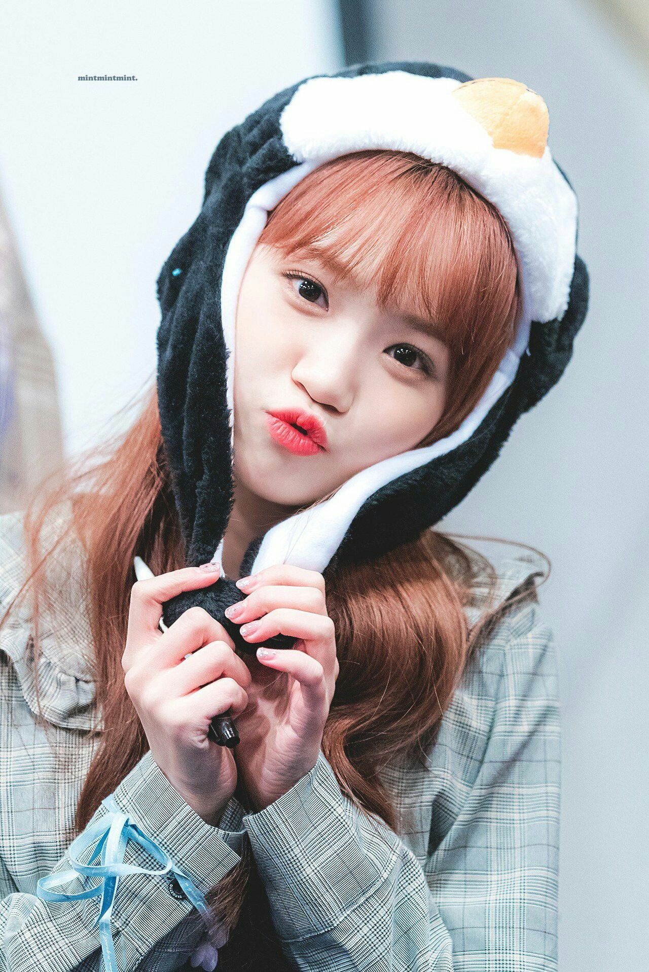 김채원 사진 모음