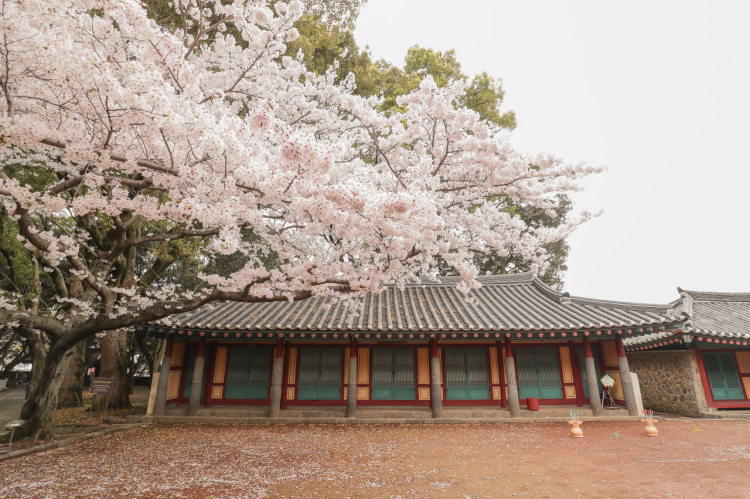 4월 국내여행지
