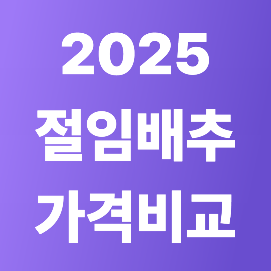 2025 절임배추 가격 비교표