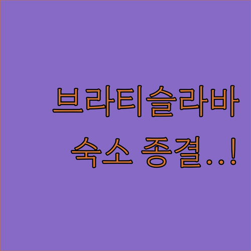 슬로바키아 브라티슬라바 숙소 추천 가..