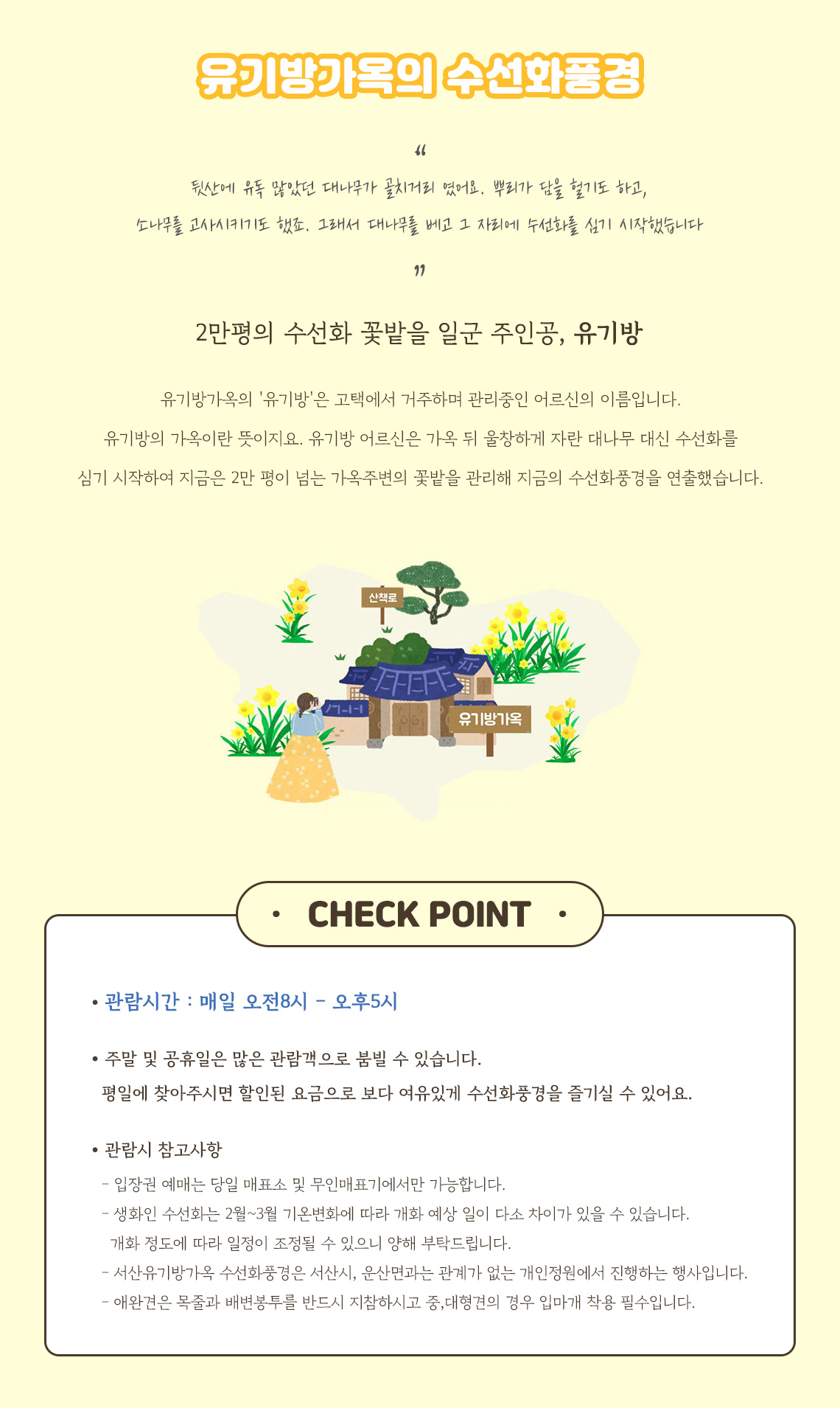 서산 유기방가옥 수선화축제 개화 상황