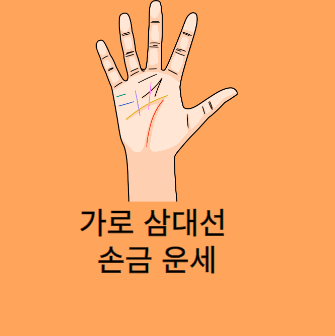 가로 삼대선 손금 운세