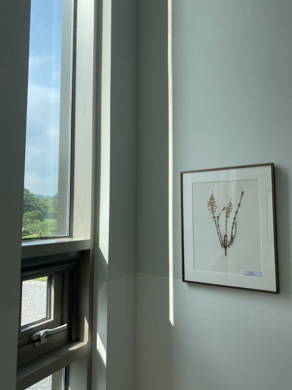 홍천 나인투제로 펜션