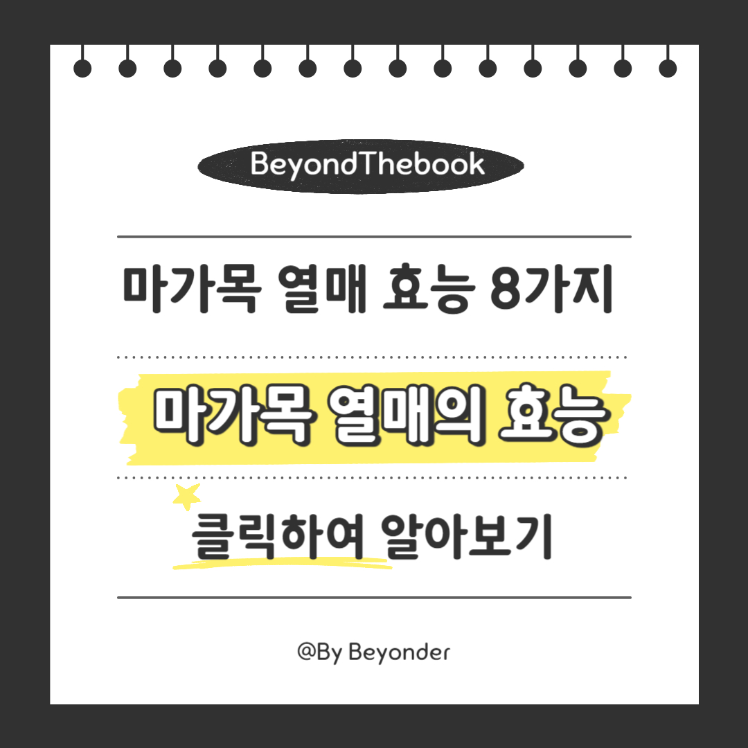 마가목 열매의 효능