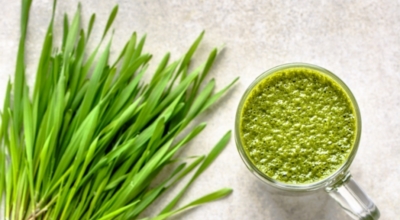 새싹보리이미지