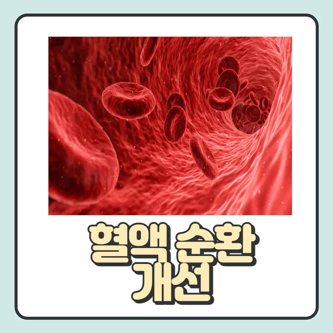 흑염소-엑기스-효능-혈액-순환-개선
