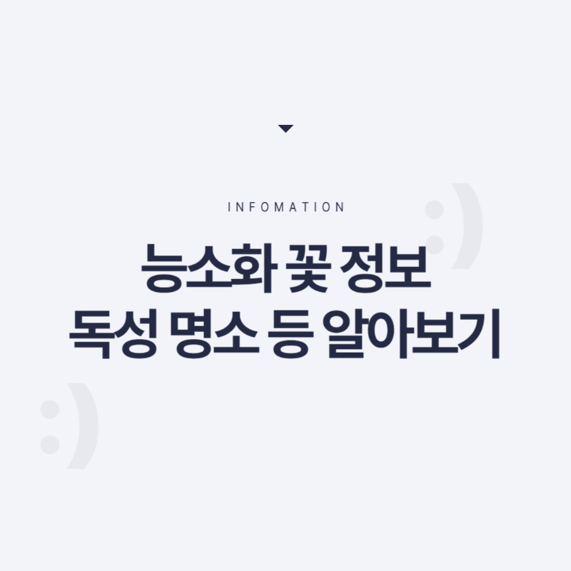 능소화 꽃말 묘목 키우기 꽃 명소 개화시기 전설 독성 삽목 시모음