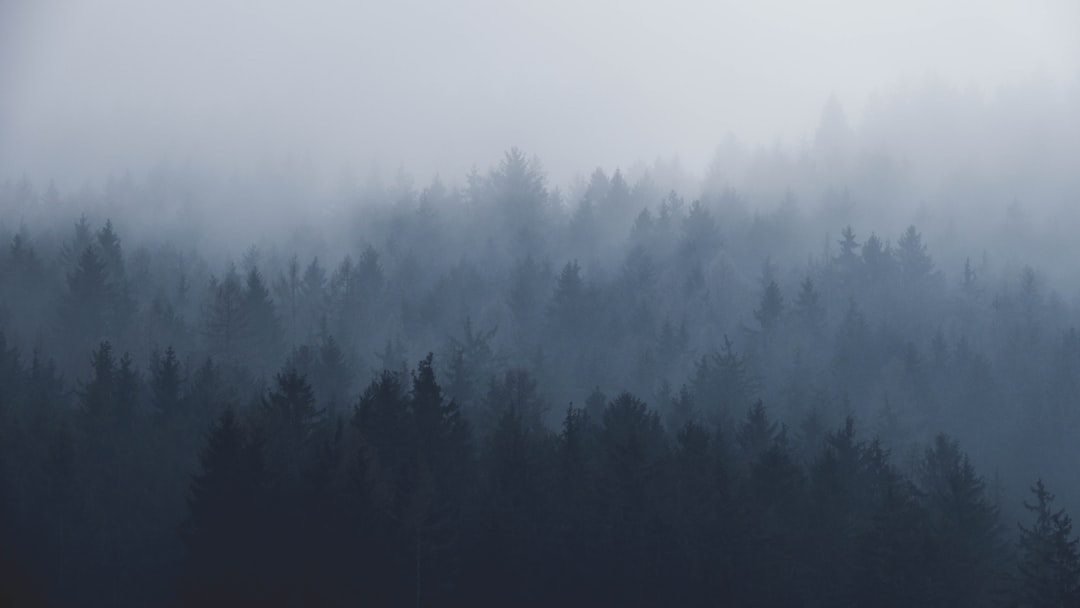 Weather