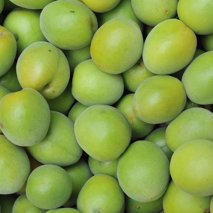 매실청_효능_활용_매실음료