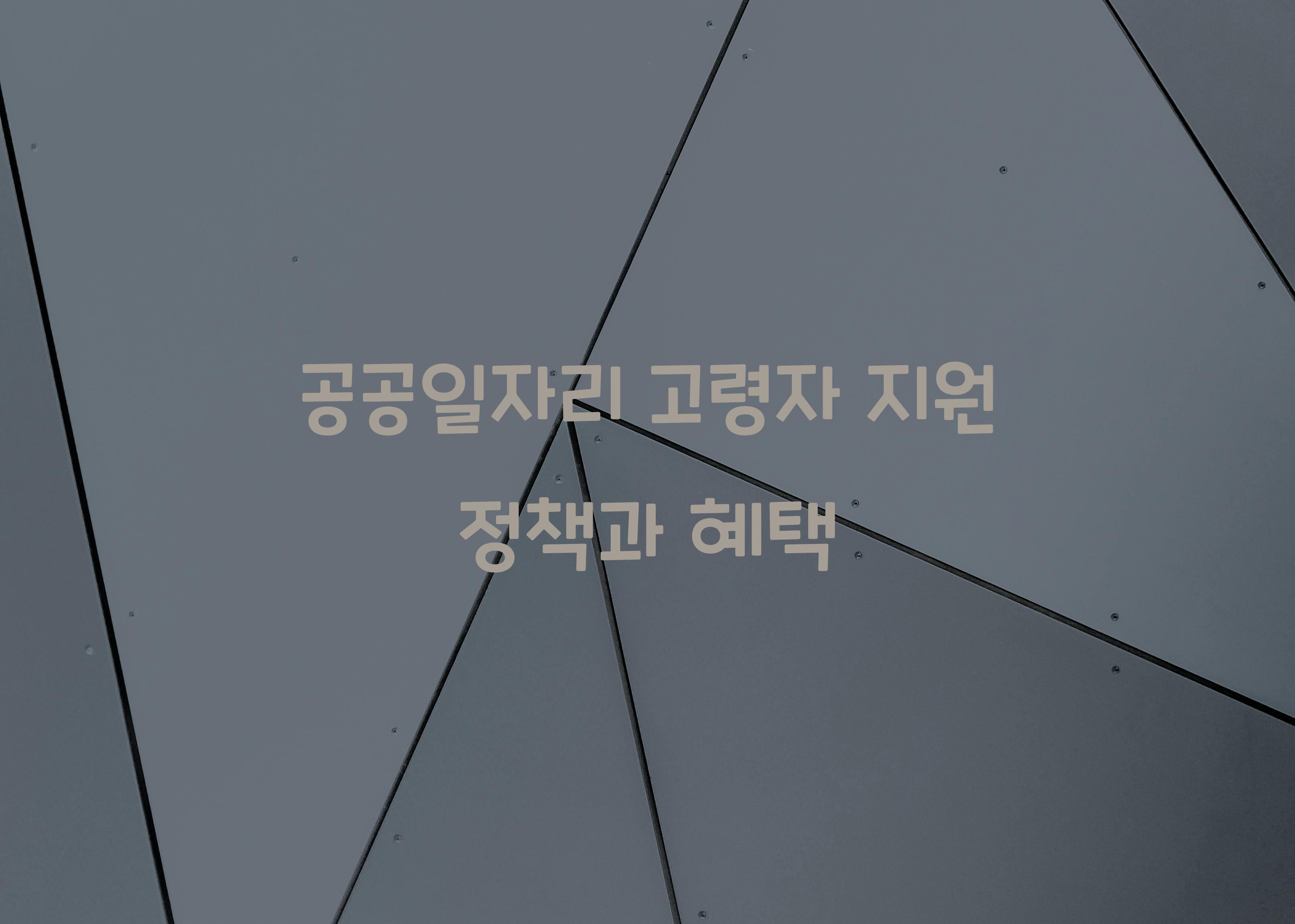 공공일자리 고령자