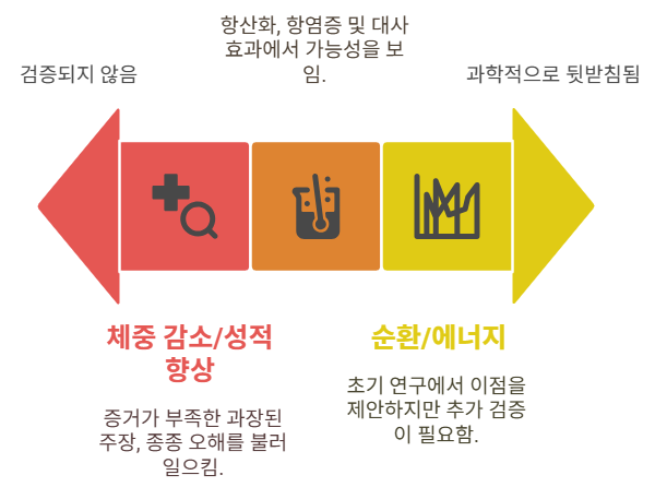 끄라차이담 관련 이슈