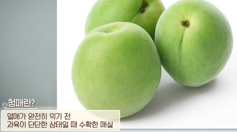 매실 종류