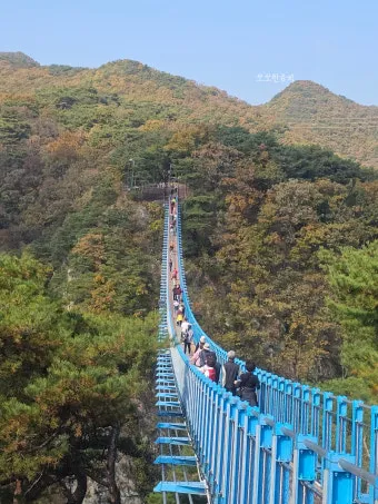 원주 가볼만한곳 베스트10 자연과 도심 명소 총정리_7