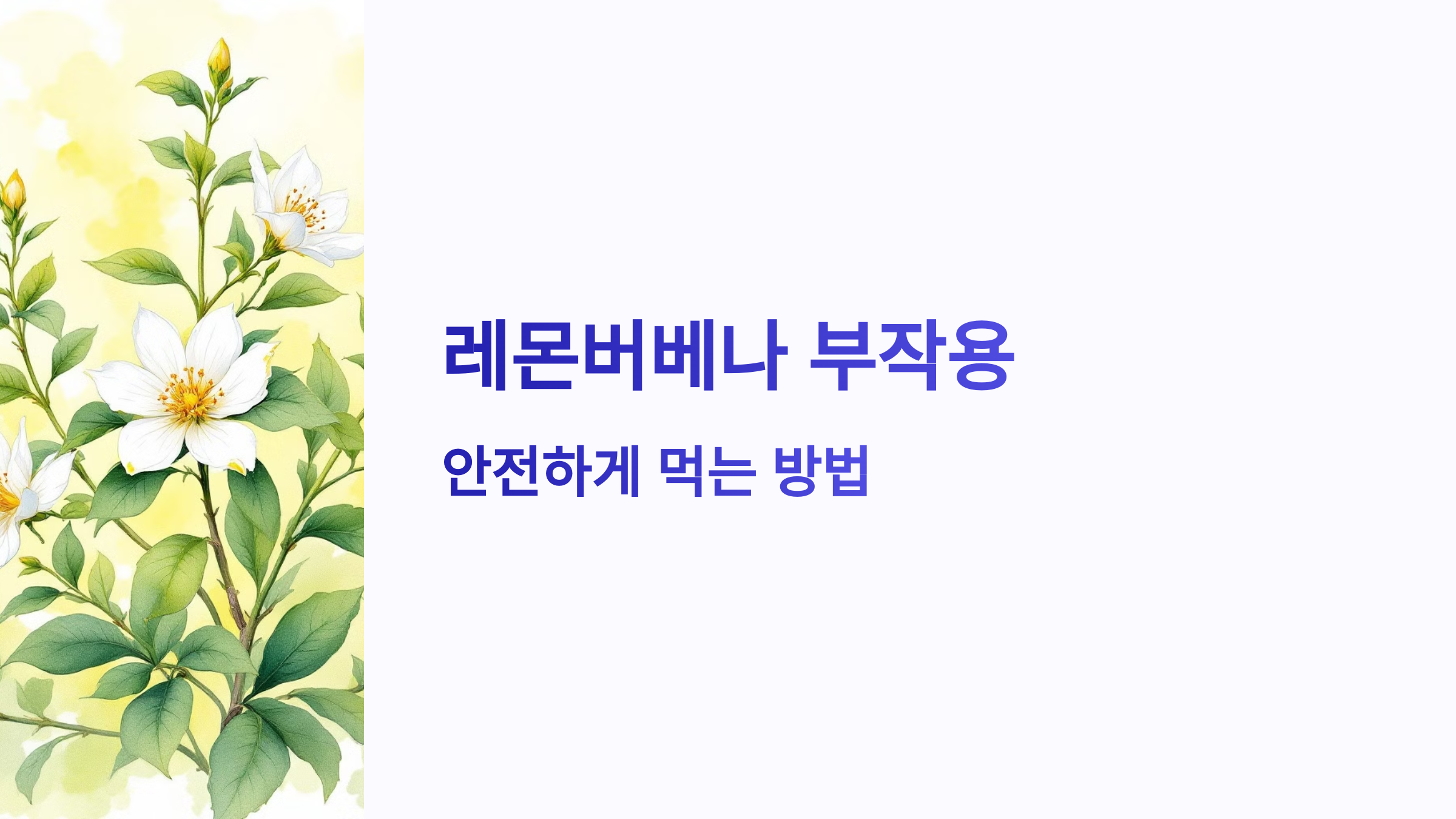 레몬버베나 부작용 없이 안전하게 먹는 방법