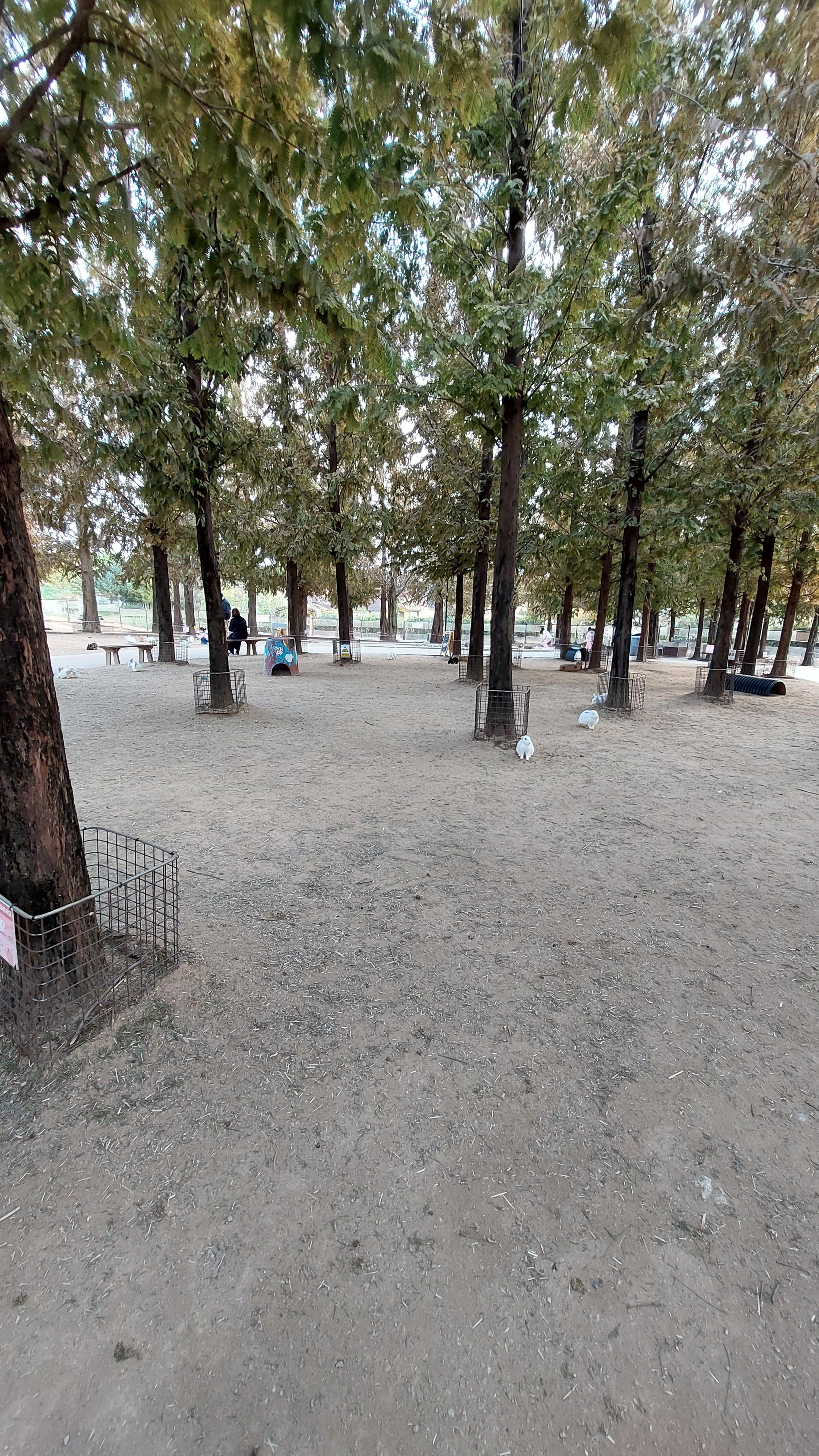 안성팜랜드 토끼 먹이 주기 체험장 전경