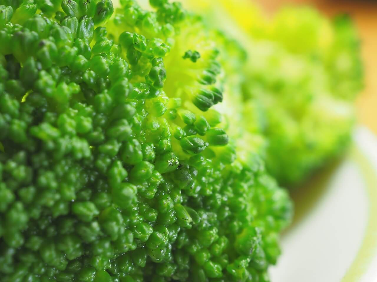 위염에 좋은 음식